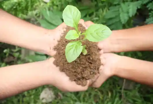 Indian Army to _Go Green
