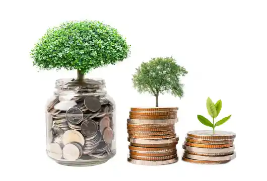 RBI has released a framework for green deposits.e
