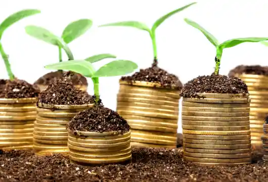 Beginning on June 1, new guidelines for green deposits
