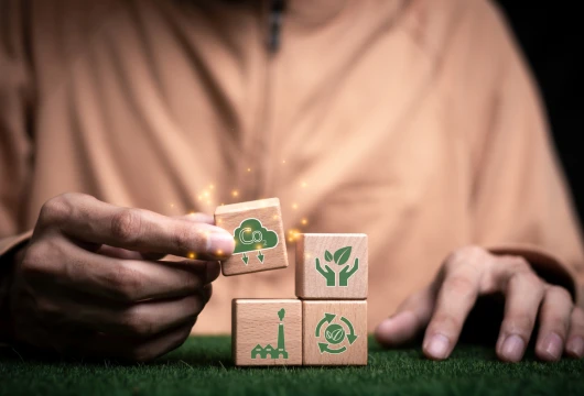 3 Ways the World and India are Leading the Sustainability Charge