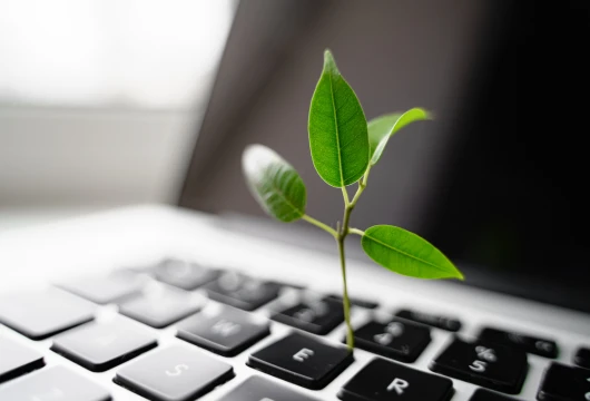Investors Flock to Booming Indian Climate Tech Sector
