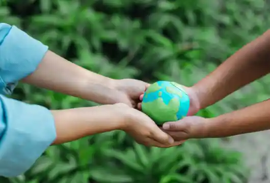 Advancing Carbon Offsetting Practices for a Sustainable Future