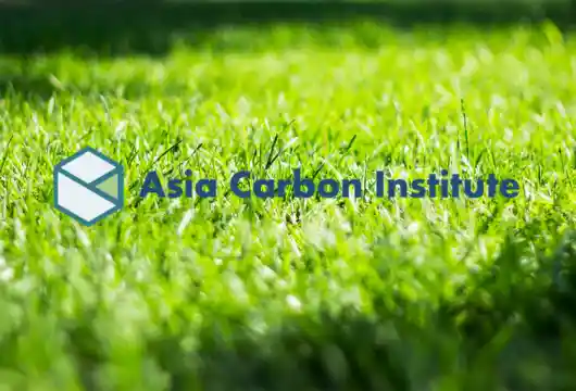 Sustainable Urban Solutions Asia's Quest for a Greener Tomorrow