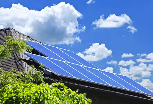 SBI's Green Revolution_ Bundling Home Loans with