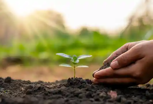 Cambodia's Five-Year Circular Strategy for a Green Tomorrow