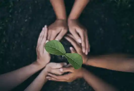 Kenya's Green Revolution A Holiday to Plant 100 Million Trees