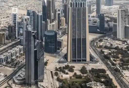 UAE's 'David & Goliath' Farms Thrive Generates $5.53M from Carbon Credits