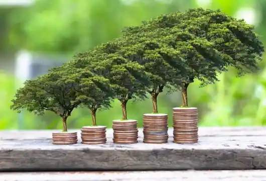 Focus on Renewable Energy Growth at Scale with India's Largest Renewable Energy InvIT