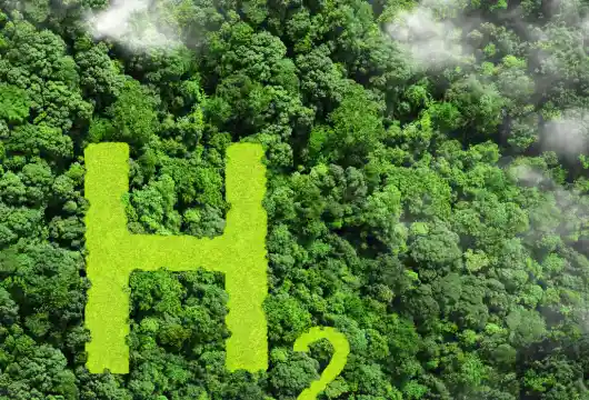 14 Feb Policy on Integration of Green Hydrogen with Renewable Energy Sources