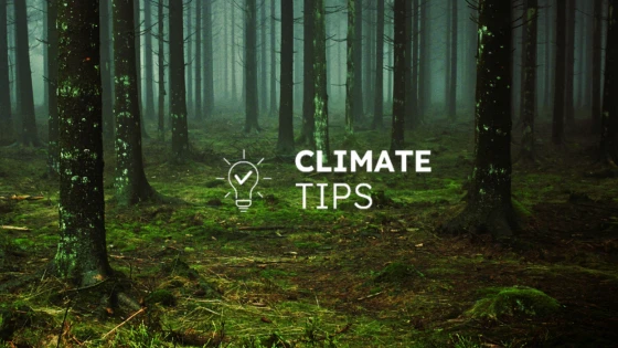 sustainability