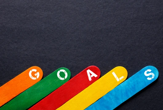 Three Ways NGOs Help Achieve SDG13 Goals in India