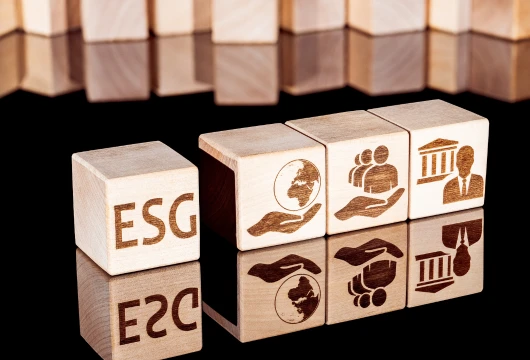 ESG