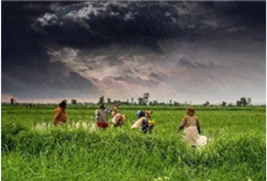 Climate Resilience