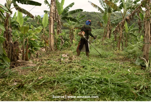 Carbon Credits