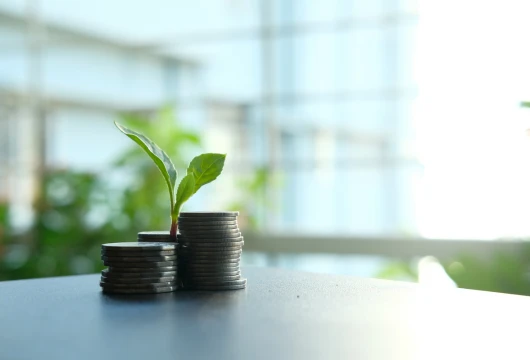 Green Finance