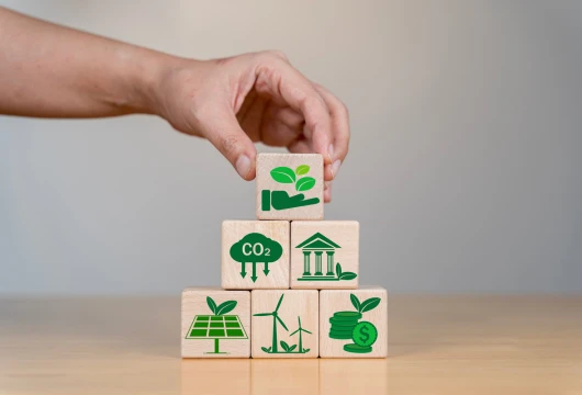 Carbon Credit Policy